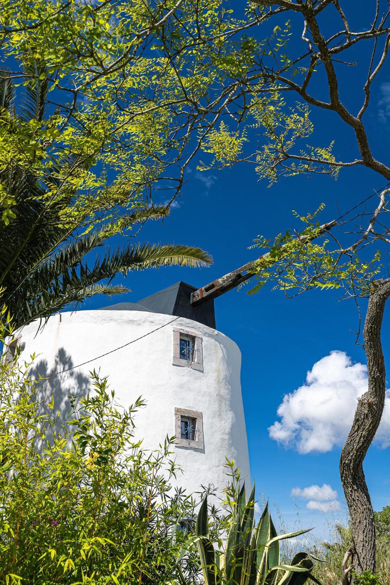 New! Windmill In The Midst Of Nature Villa Mafra Eksteriør billede